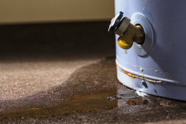 Best Sewage cleanup and water damage restoration  in Snyder, TX