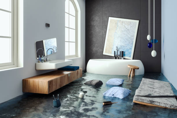Best Water damage cleanup near me  in Snyder, TX