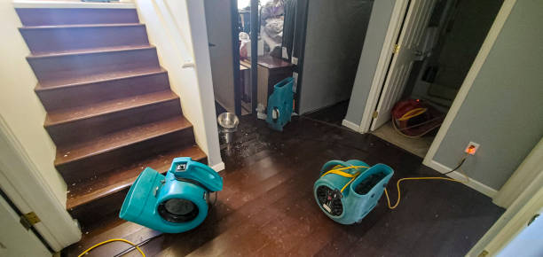Best Carpet water damage restoration  in Snyder, TX