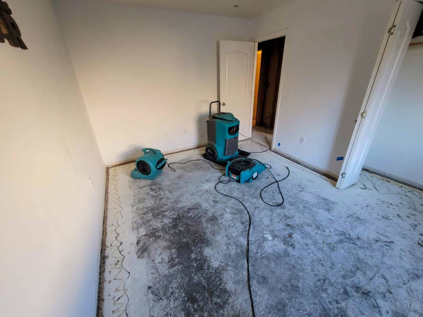 Trusted Snyder, TX Water damage restoration Experts