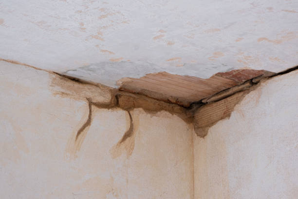 Best Professional water damage repair  in Snyder, TX