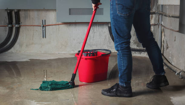 Best Water damage restoration near me  in Snyder, TX