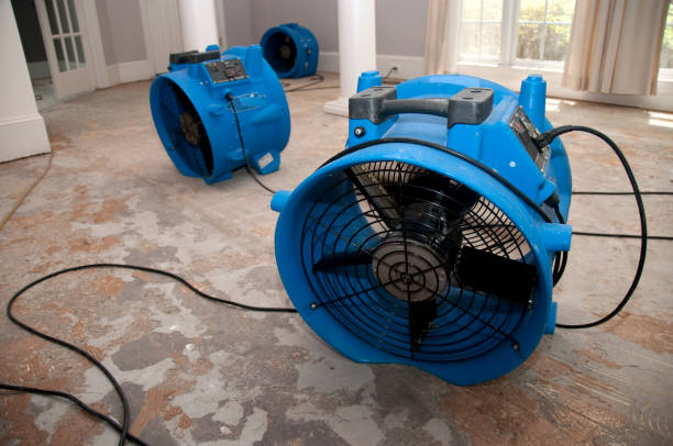 Best Fire Damage Restoration  in Snyder, TX