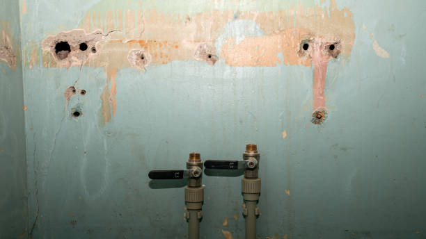 Best Water damage restoration cost  in Snyder, TX