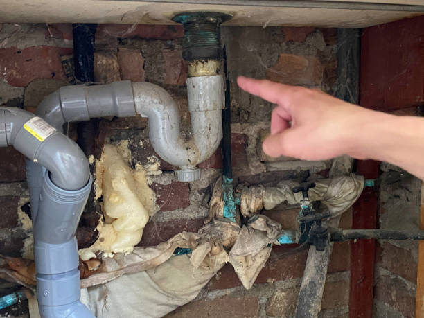 Best Mold removal after water damage  in Snyder, TX